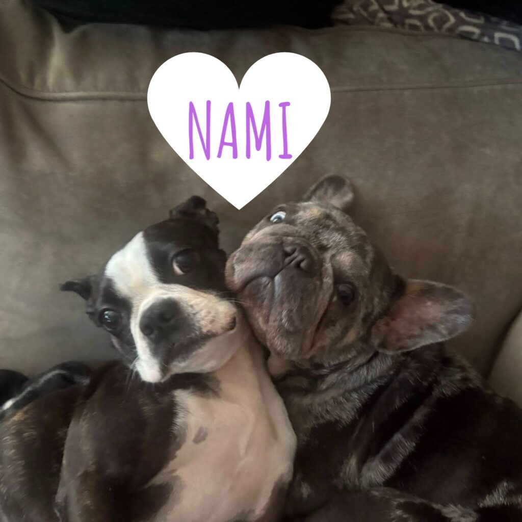 Nami, adopted through SNORT Rescue