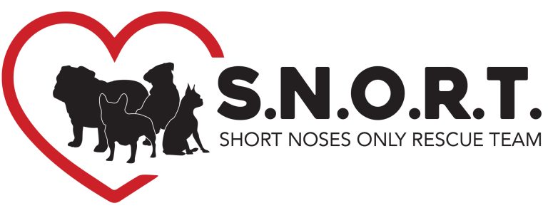 SNORT Rescue