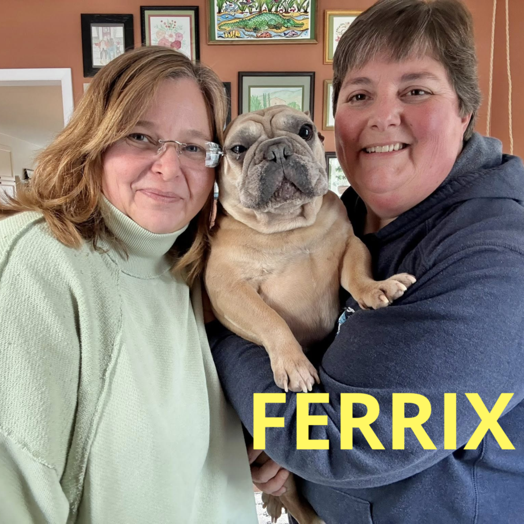 Ferrix, adopted through SNORT Rescue