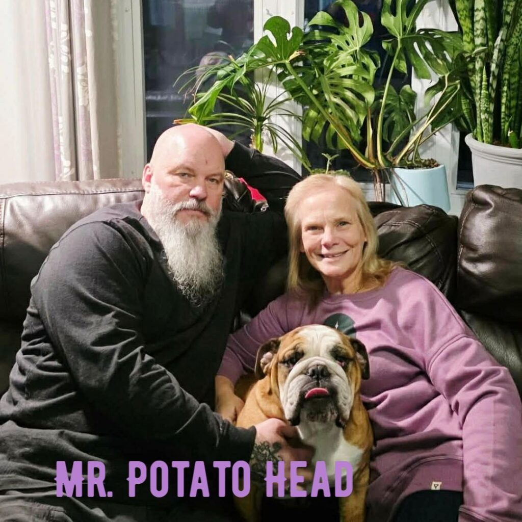 Mr. Potato Head, adopted through SNORT Rescue