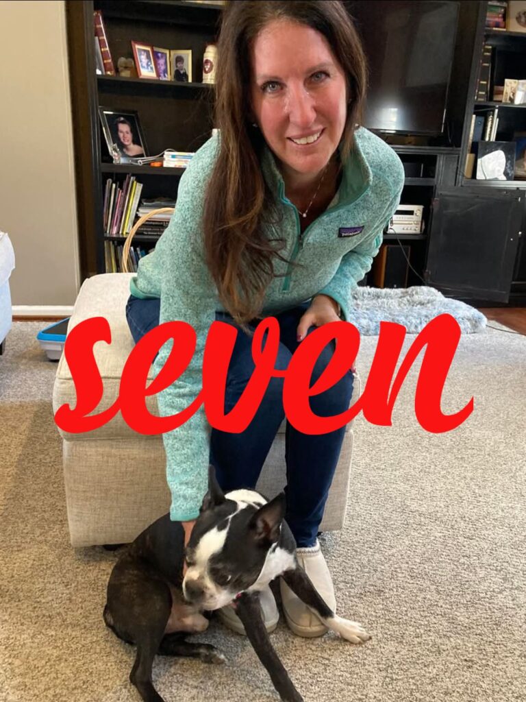 Seven, adopted through SNORT Rescue