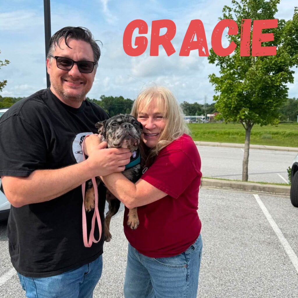 Gracie, adopted through SNORT Rescue