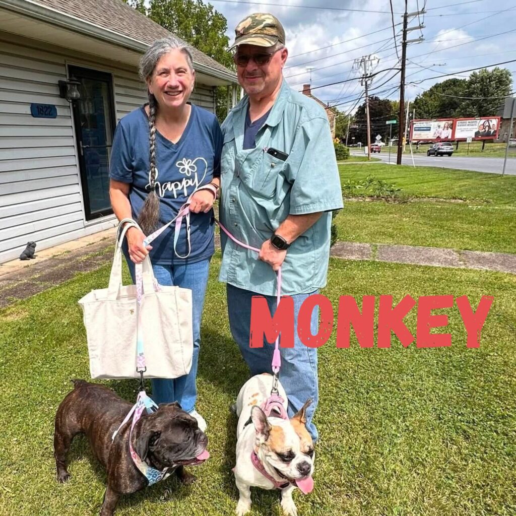 Monkey, adopted through SNORT Rescue