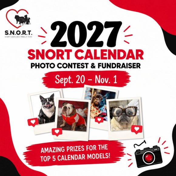 Enter the 2027 SNORT Calendar Contest