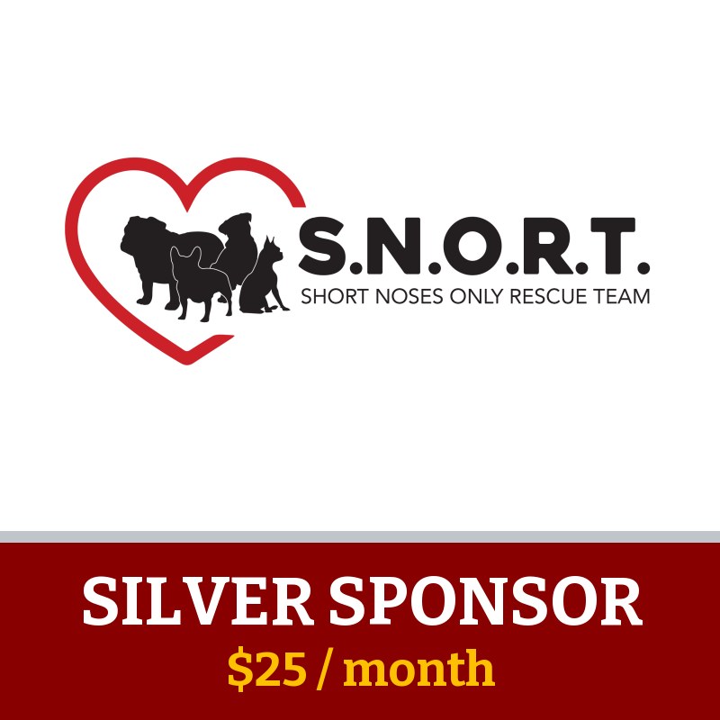 SNORT Rescue Virtual Foster Sponsorship, Silver level, $25 per month